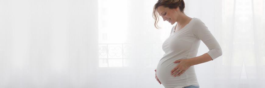 Einheit für vorschwangerschaftliche Beratung - Einen Kostenvoranschlag einholen