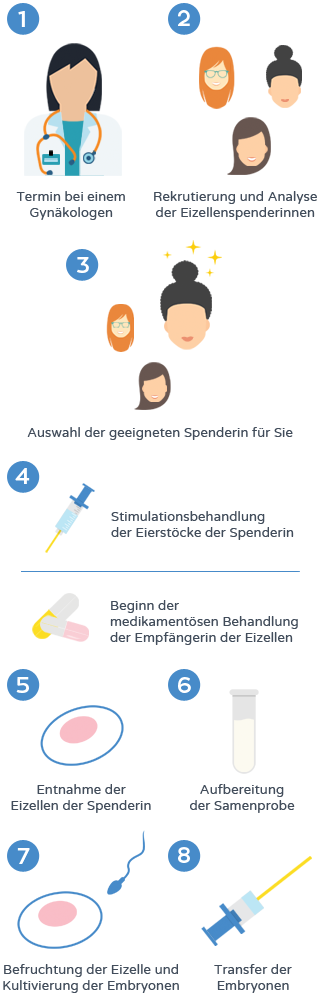 Eizellenspende - Verfahren