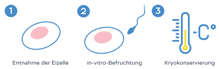 Erhalt der Fruchtbarkeit - Kryokonservierung von Embryonen